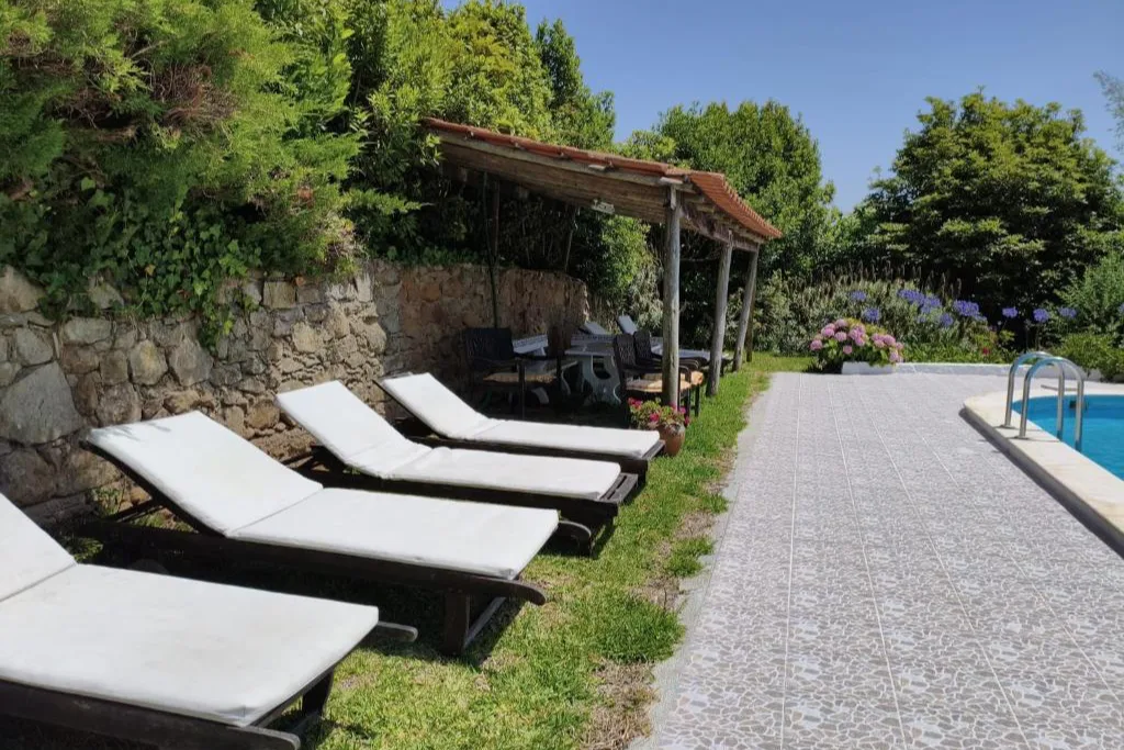 O jardim com oliveiras e o caminho para a piscina